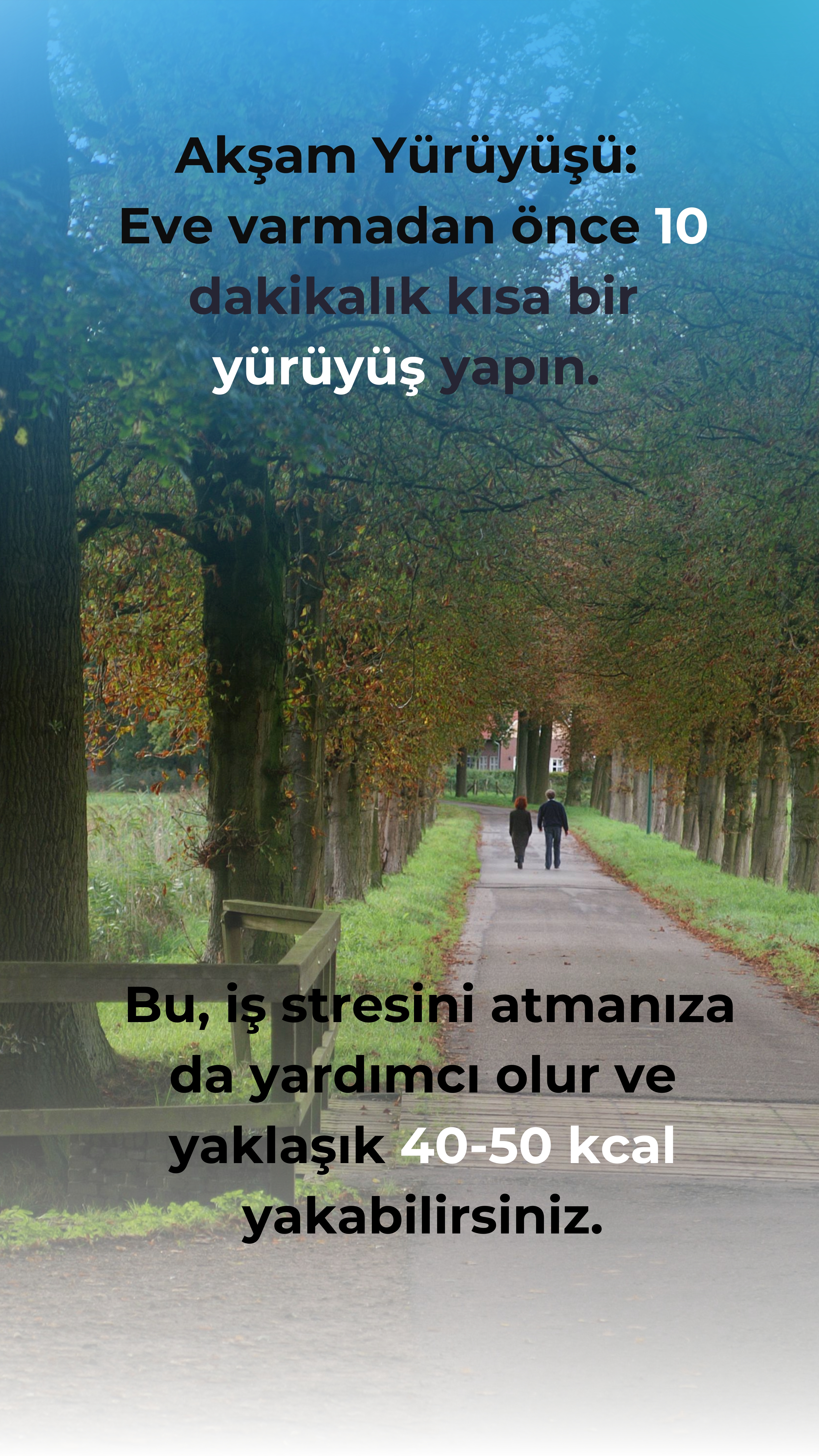46. Gün Afiş